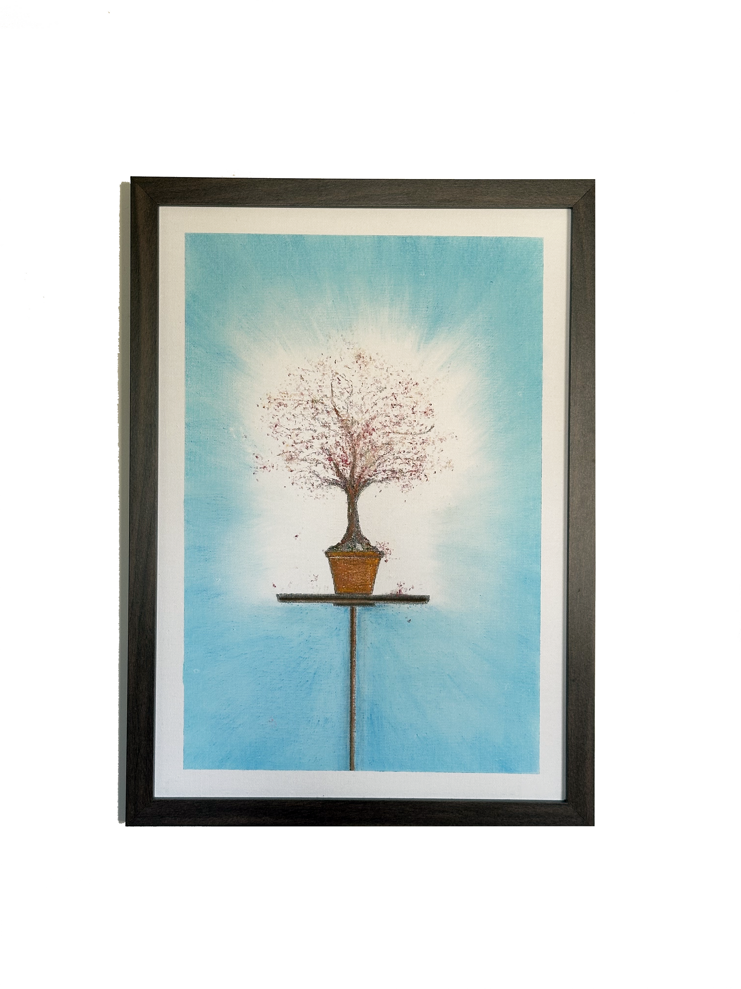 Study of a planted tree. (Magnolia)